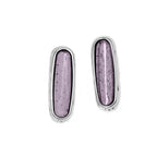 Pendiente Stud con baño de plata y cristal