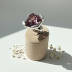ANILLO BLOOMÉ